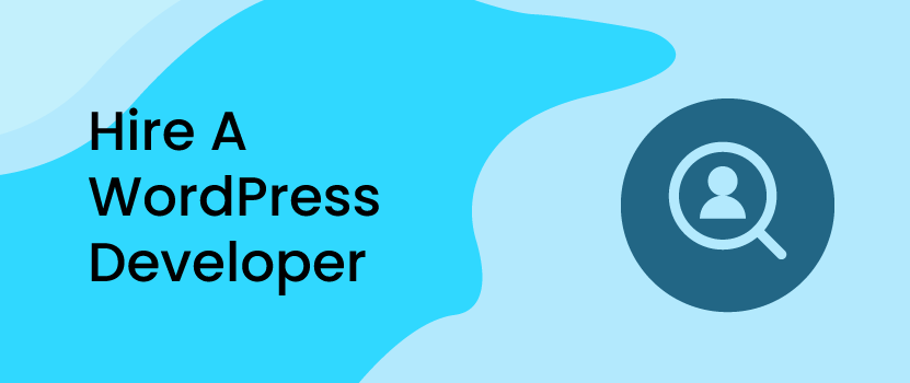 hire a wordpress developer