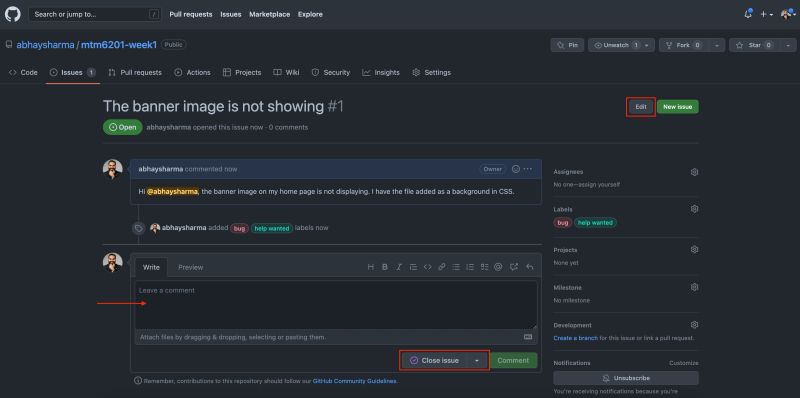 Github Issues Interactive Media Design - Download Gorgeous Vintage Image | 8K