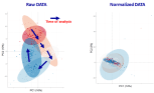 PCA normalizations