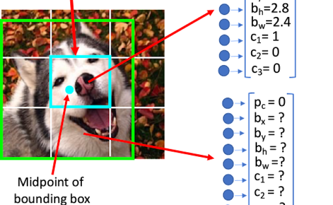 Real-Time Object Detection Using YOLO - IMerit