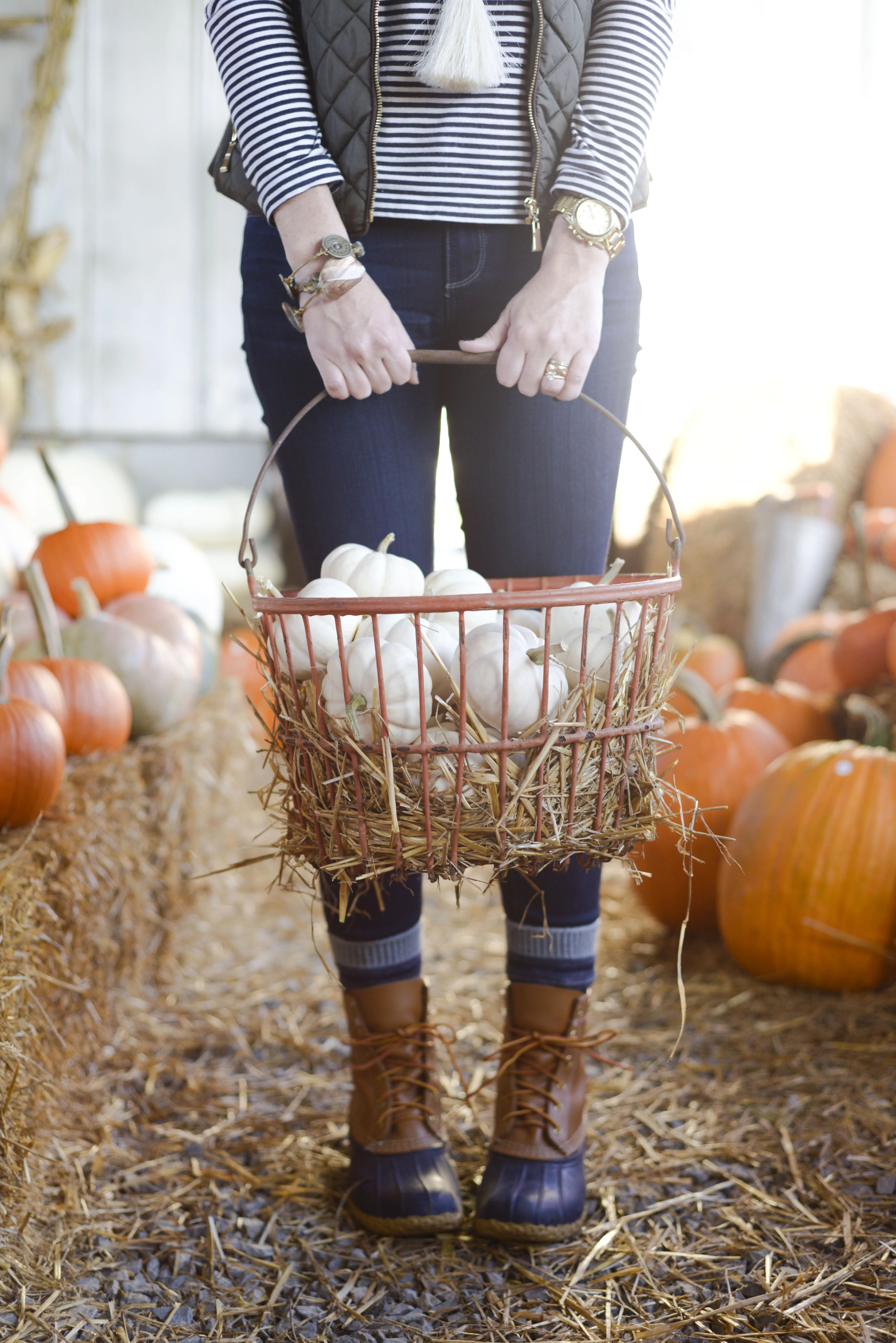 The Perfect Pumpkin Patch