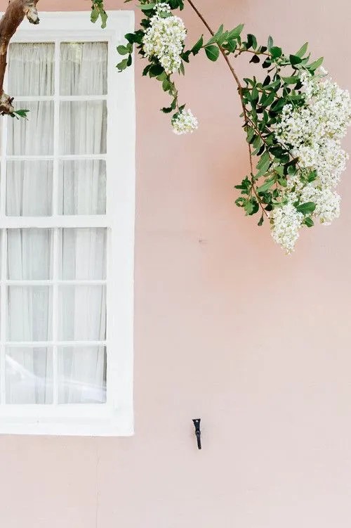 Friday Favorites: The Last of March