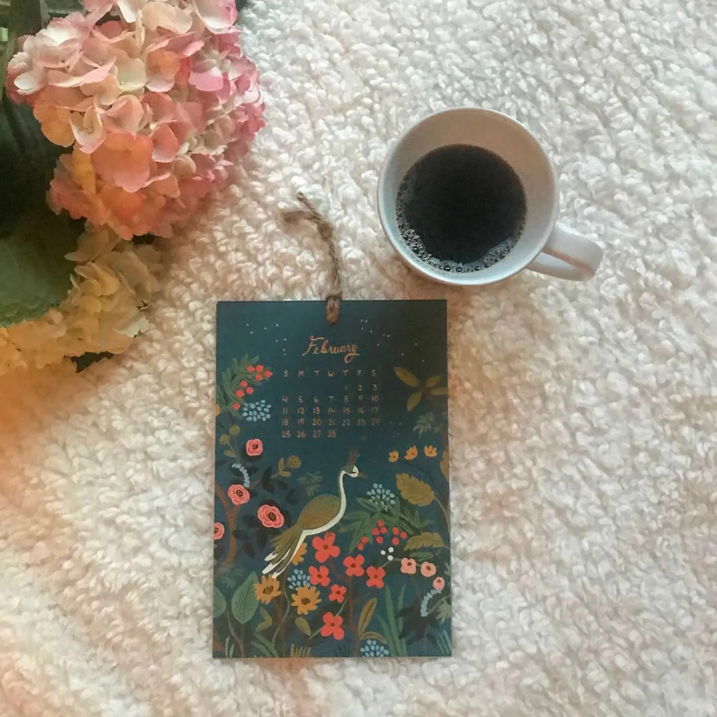 Welcome February + January 2018 Instagram Roundup - I'm Fixin' To - @mbg0112