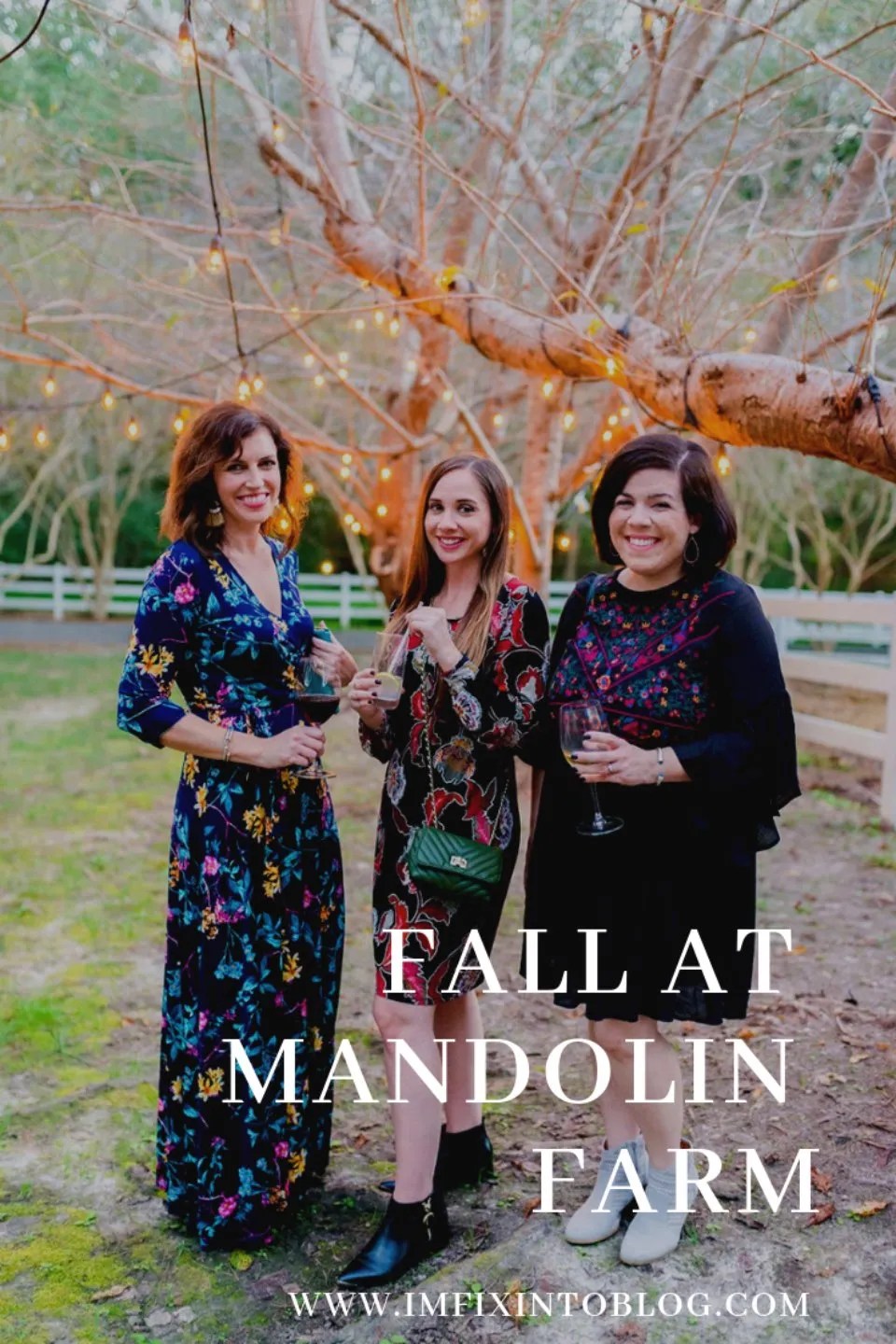 Fall in North Carolina at Mandolin Farm - I'm Fixin' To - @mbg0112