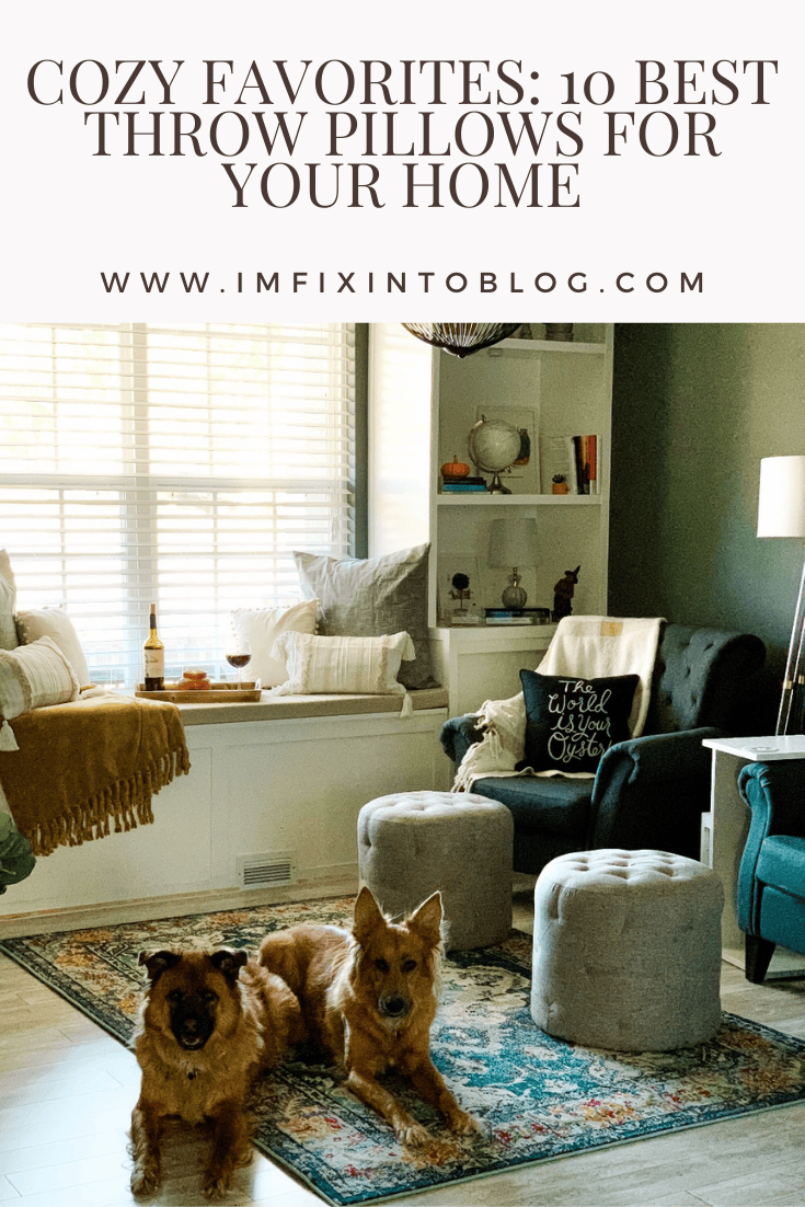 Cozy Favorites: 10 Best Throw Pillows for your Home - I'm Fixin' To - @mbg0112