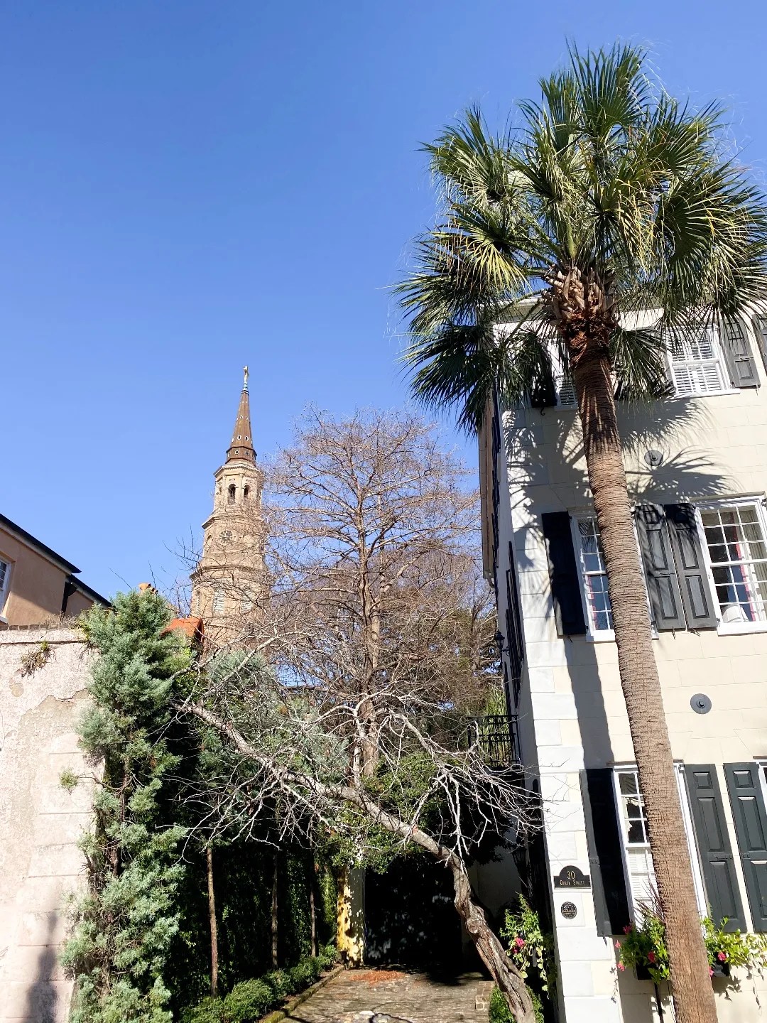 Weekend in Charleston SC: the Best Things to Do in the Winter