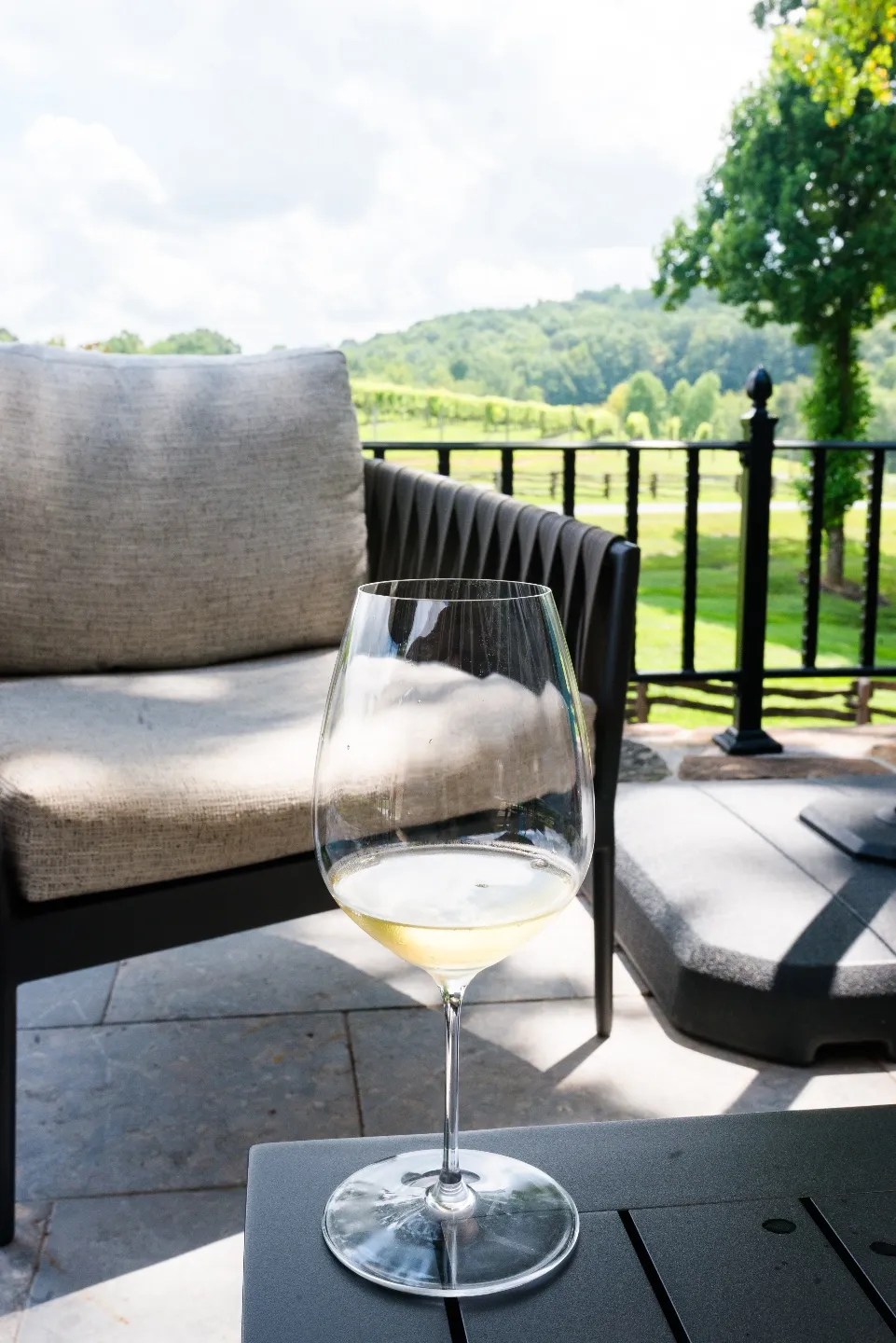 NC Hidden Gem: Dynamis Estate Wines - I'm Fixin' To - @imfixintoblog