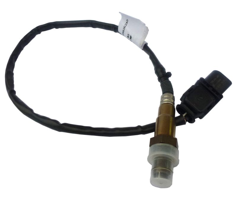 Lambda Imfsoft S R O - Download Modern Nature Art | HD