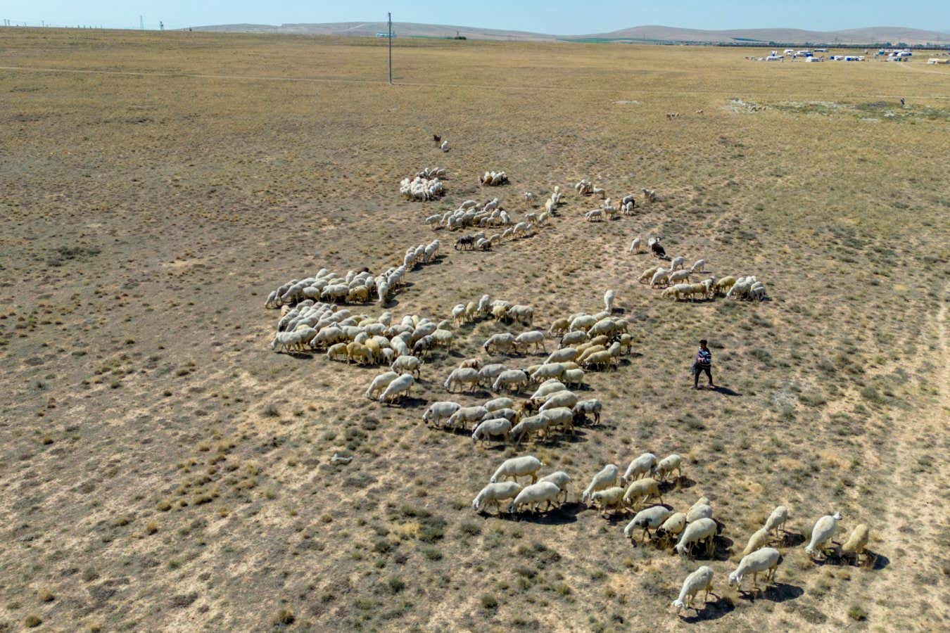 Heatwaves Strikes Back Resalliance - Download Professional Colorful Photo | Full HD