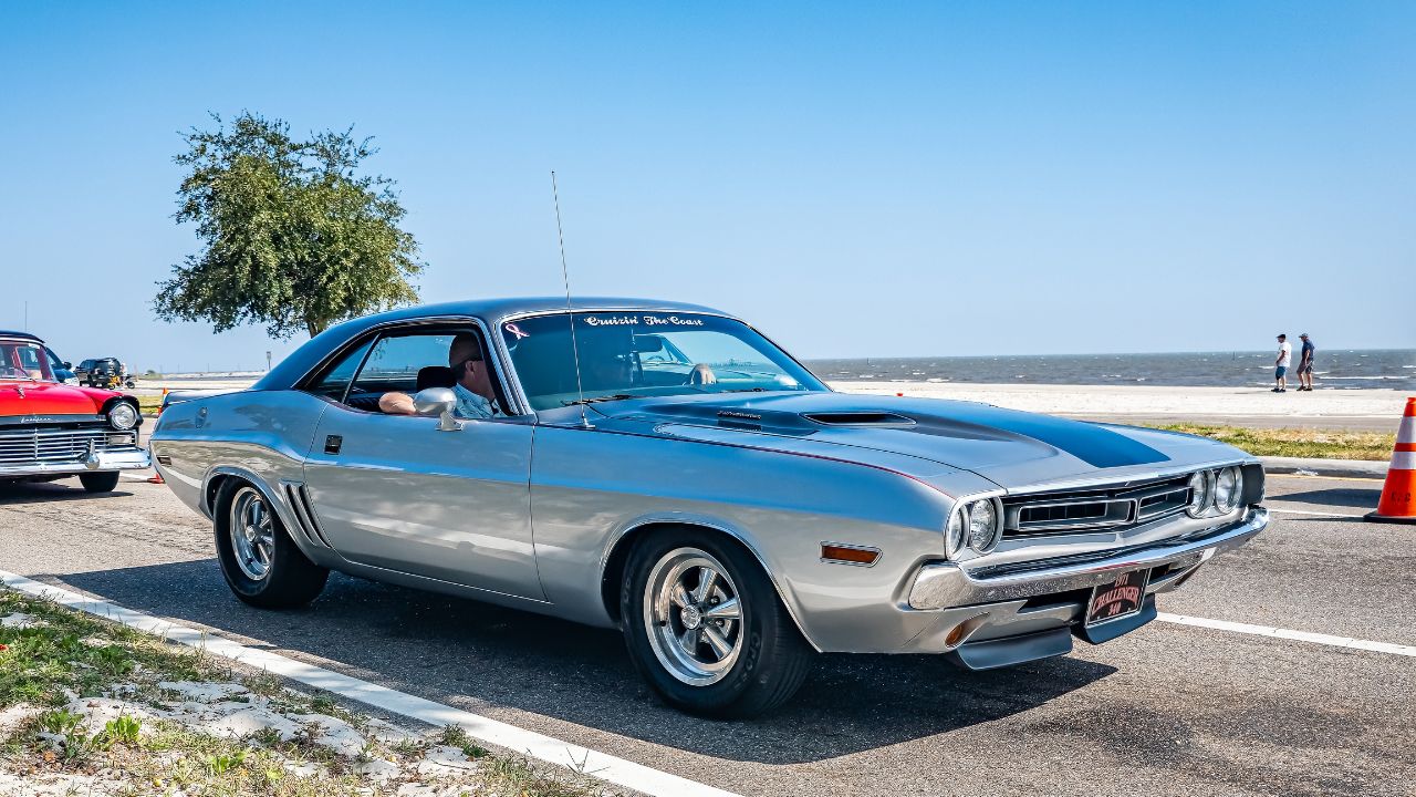 Garden Features That Can Decrease Your Property Value - Full HD Abstract Designs for Desktop