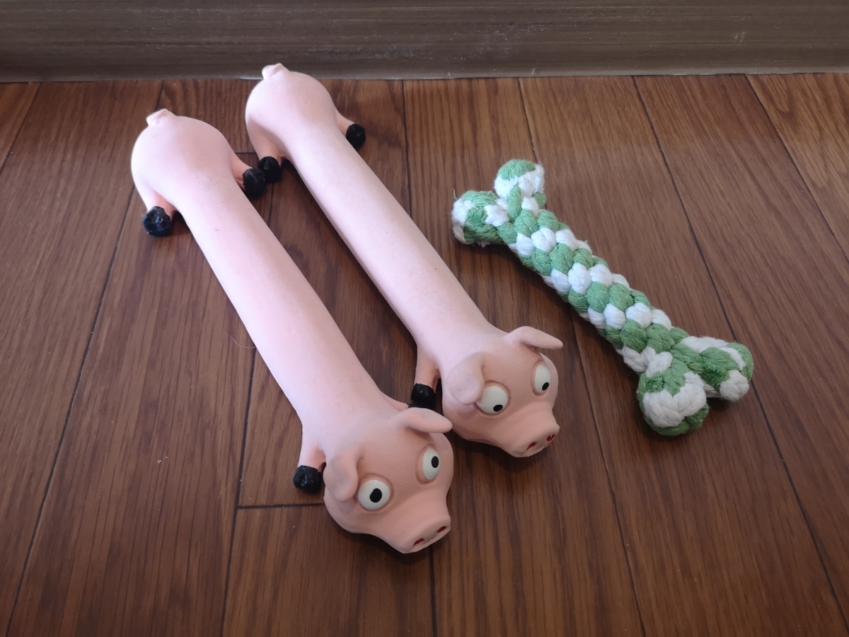 566円 犬の噛むおもちゃ 犬の歯磨きおもちゃ 壊れにくい 犬のおもちゃ 虫歯予防 ハロウィン プレゼント 子犬 ペット用品 犬 おもちゃ. Æ°å Æªä½¿ç¨ Ç¬ã®ããã¡ã12åã»ãã Ãã¬ Ããã¡ã Ãã©ã¤ã³ã°ã¿ã¤ã¬ã¼ Ãã¬ã¼ã³ã Ã®è½æ­æå ±è©³ç´° Ã¤ããªã¯è½æ­ä¾¡æ ¼æå ± Ãªã¼ã¯ããªã¼ Ã¹ãã¼ããã©ã³ç