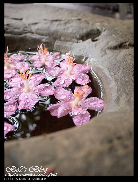 苗栗.苑裡-花.陶合一之古色古香華陶窯