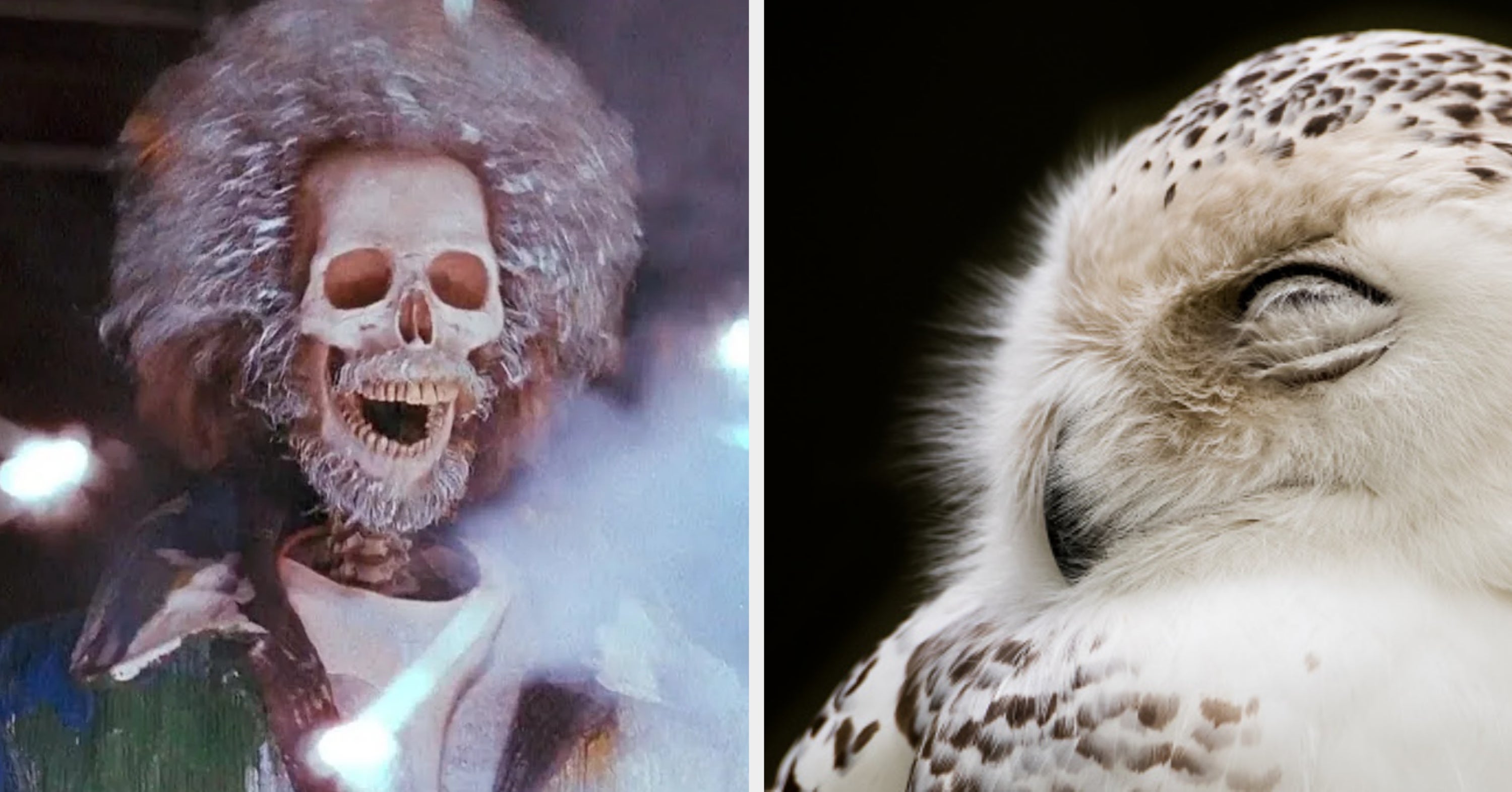 Pick The Ultimate Christmas Movie Lineup And We’ll Guess Which Snow-Dwelling Creature You Are