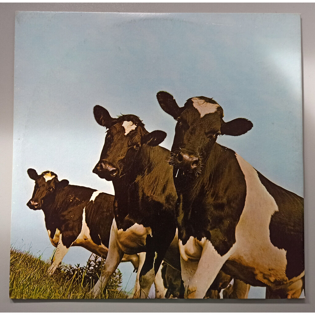 Pink Floyd Atom Heart Mother Lp For Sale On Groovecollector Com