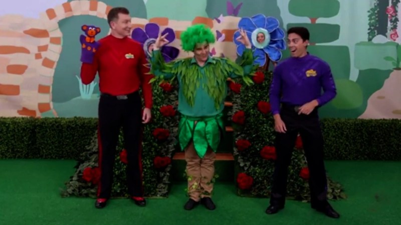 Simon Says Video Resources Clickview - Geometric Photos - Professional HD Collection