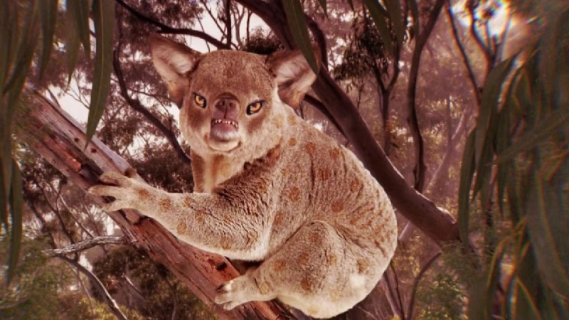 The Drop Bears Guilded - Best Minimal Illustrations in Ultra HD