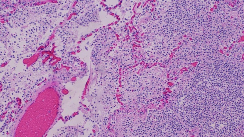 Science Clickview - Artistic HD City Pictures | Free Download