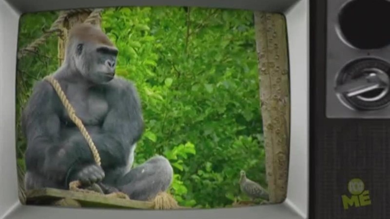 Jurgen Medium - Premium Abstract Photo Gallery - High Resolution