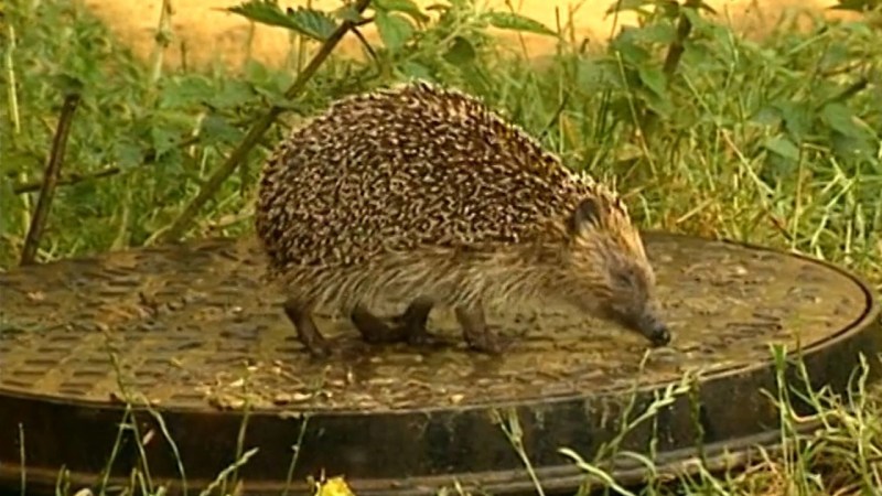 Come Outside Clickview - City Photos - Stunning Desktop Collection