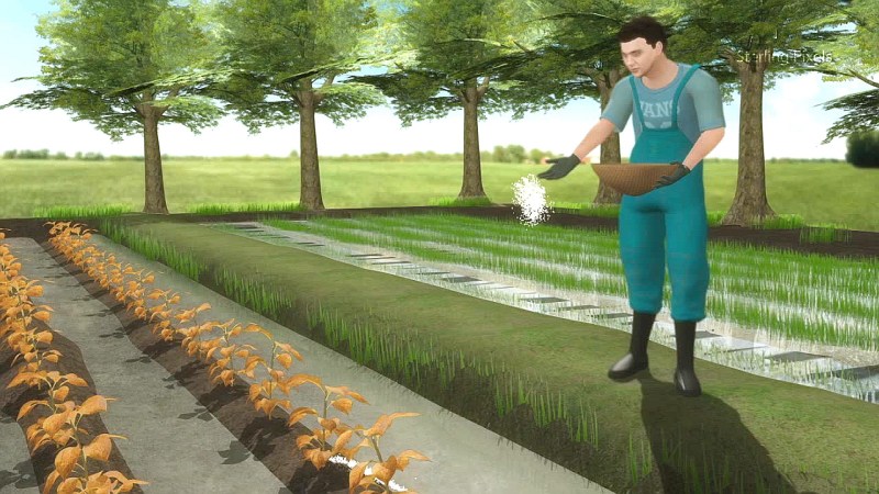 Do You Know That Plants And Animals Are Ph Sensitive - Modern Vintage Background - Mobile