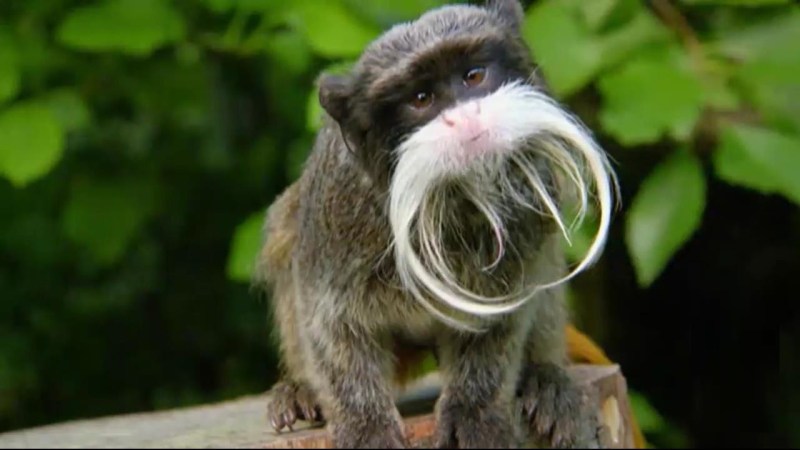 Bergallo Jurgen Medium - Download Stunning Dark Picture | 8K