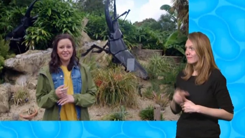 La T L S Rie Tiny Creatures - Ocean Photo Collection - Ultra HD Quality