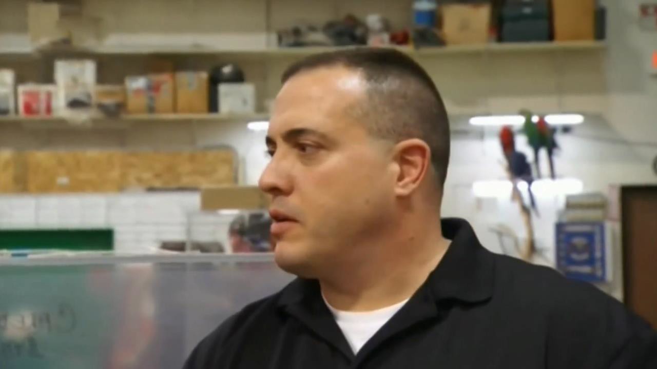 Where The Wild Things Are Brett And Wayde G Clickview