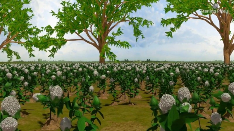 Materials Objects What S The Sitch - Landscape Wallpapers - Incredible HD Collection