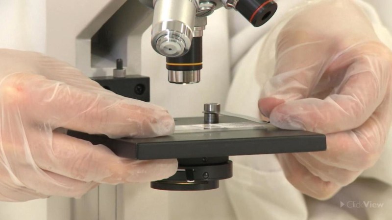 Using A Microscope Video Resources Clickview - Full HD Gradient Images for Desktop