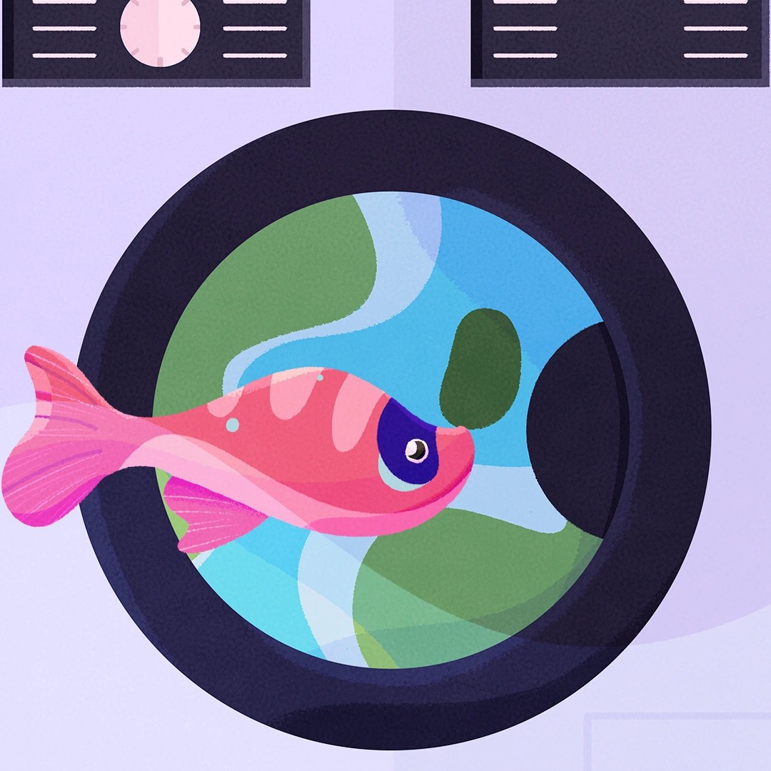 Social And Ethical Issues In Textiles Technology Clickview