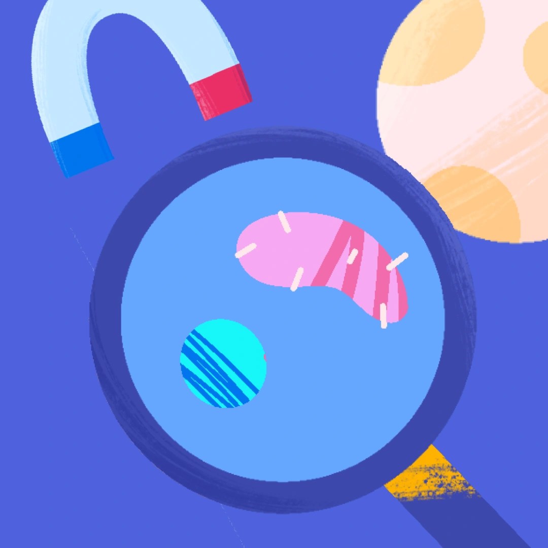 Science Videos Resources Worksheets Clickview