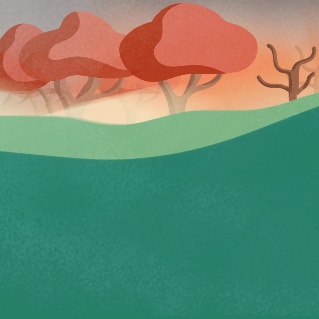 Bushfires Videos Resources Worksheets Clickview