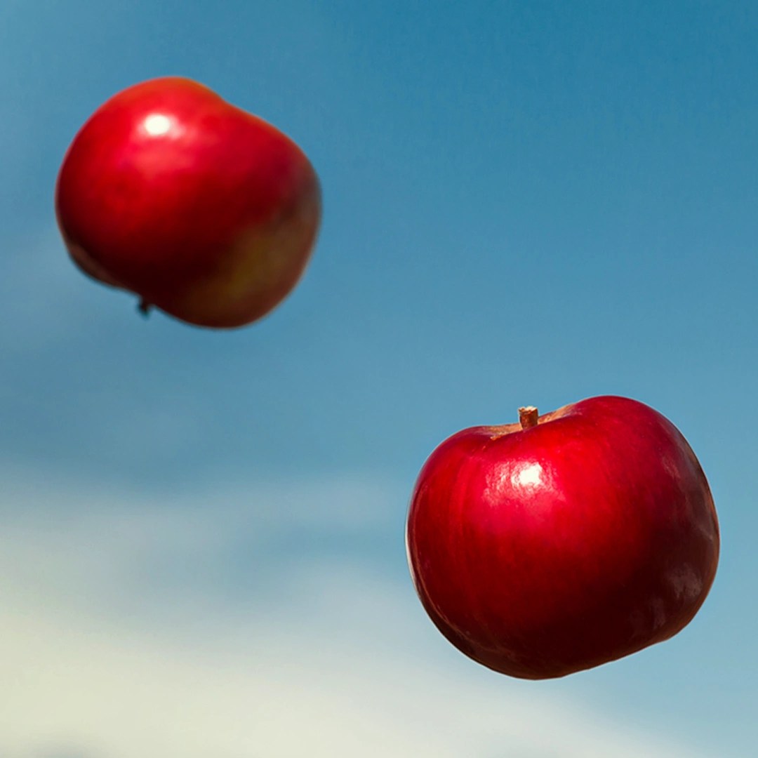 Investigating Forces Clickview