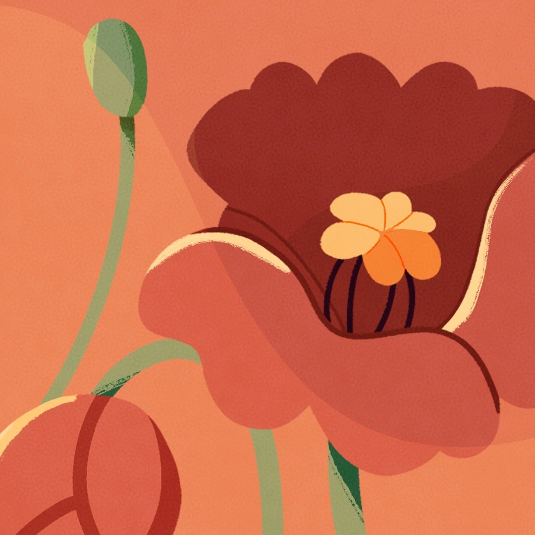 The Gallipoli Campaign And The Anzac Legend Clickview