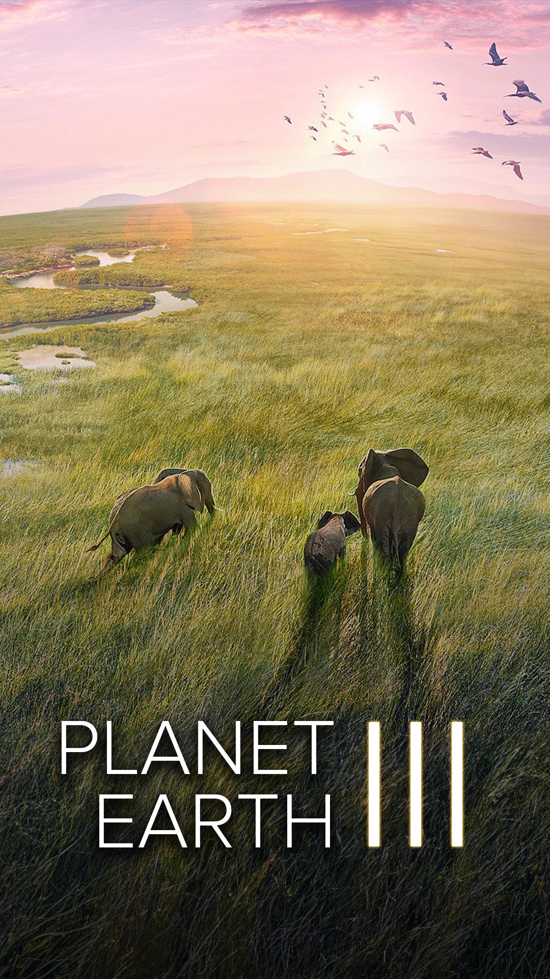 David Attenborough S Planet Earth Iii Clickview