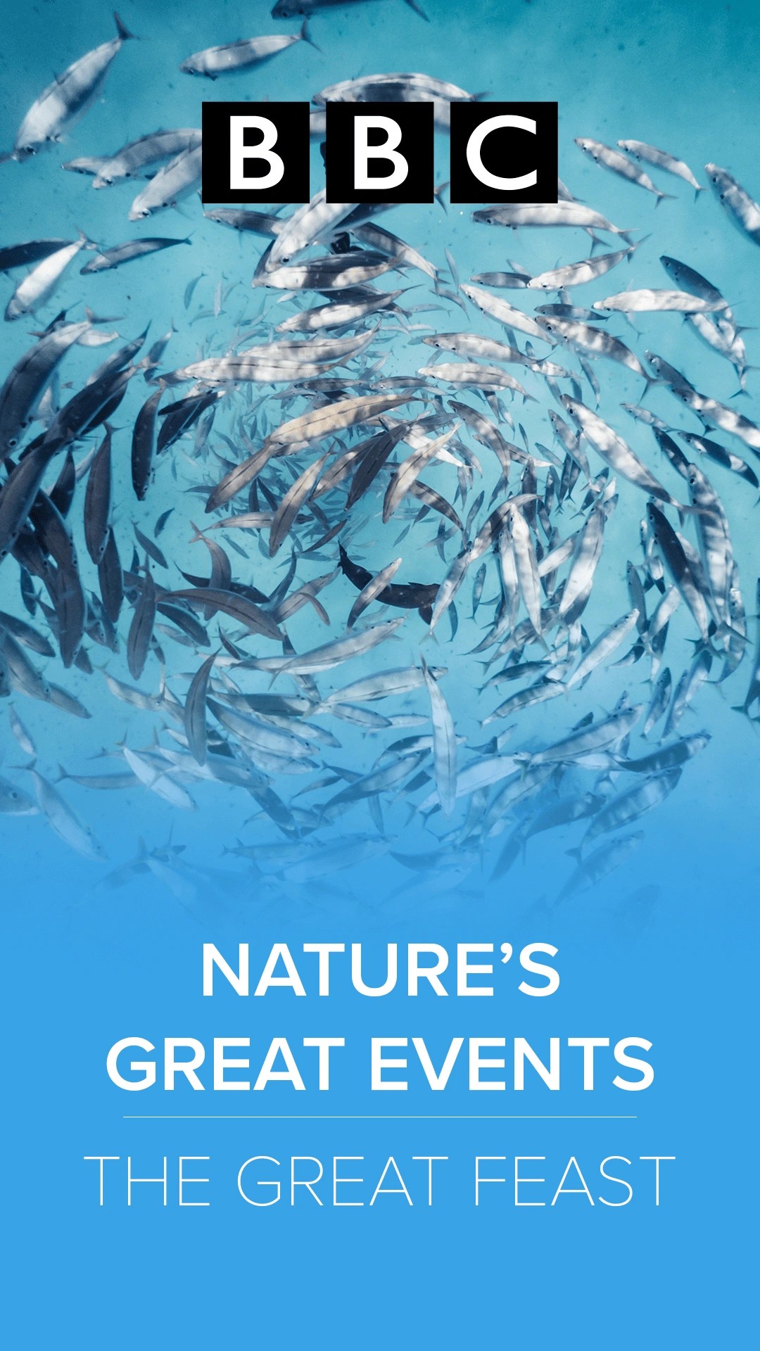 Nature S Great Events The Great Feast Clips Clickview