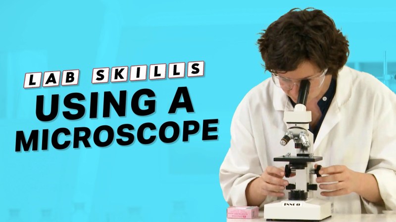 Using A Microscope Video Resources Clickview - Best Colorful Images in Ultra HD
