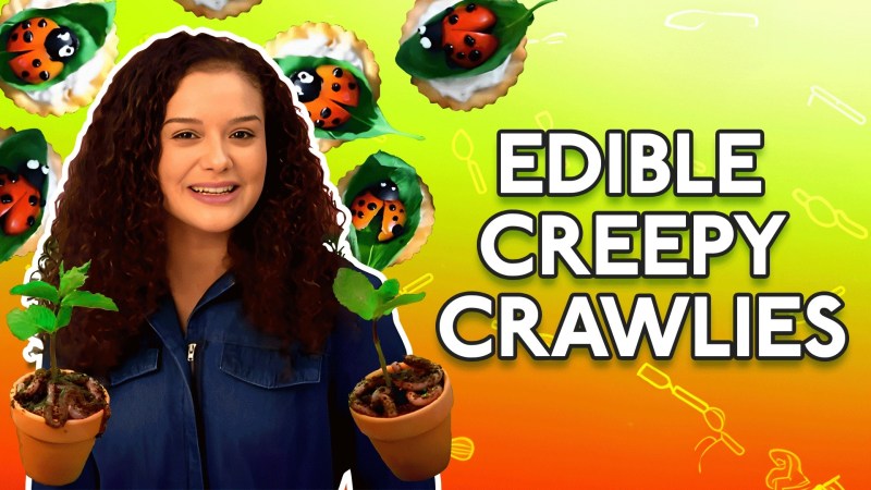 Ultimate Food Fun Tvmaze - Download Artistic Colorful Texture | 8K