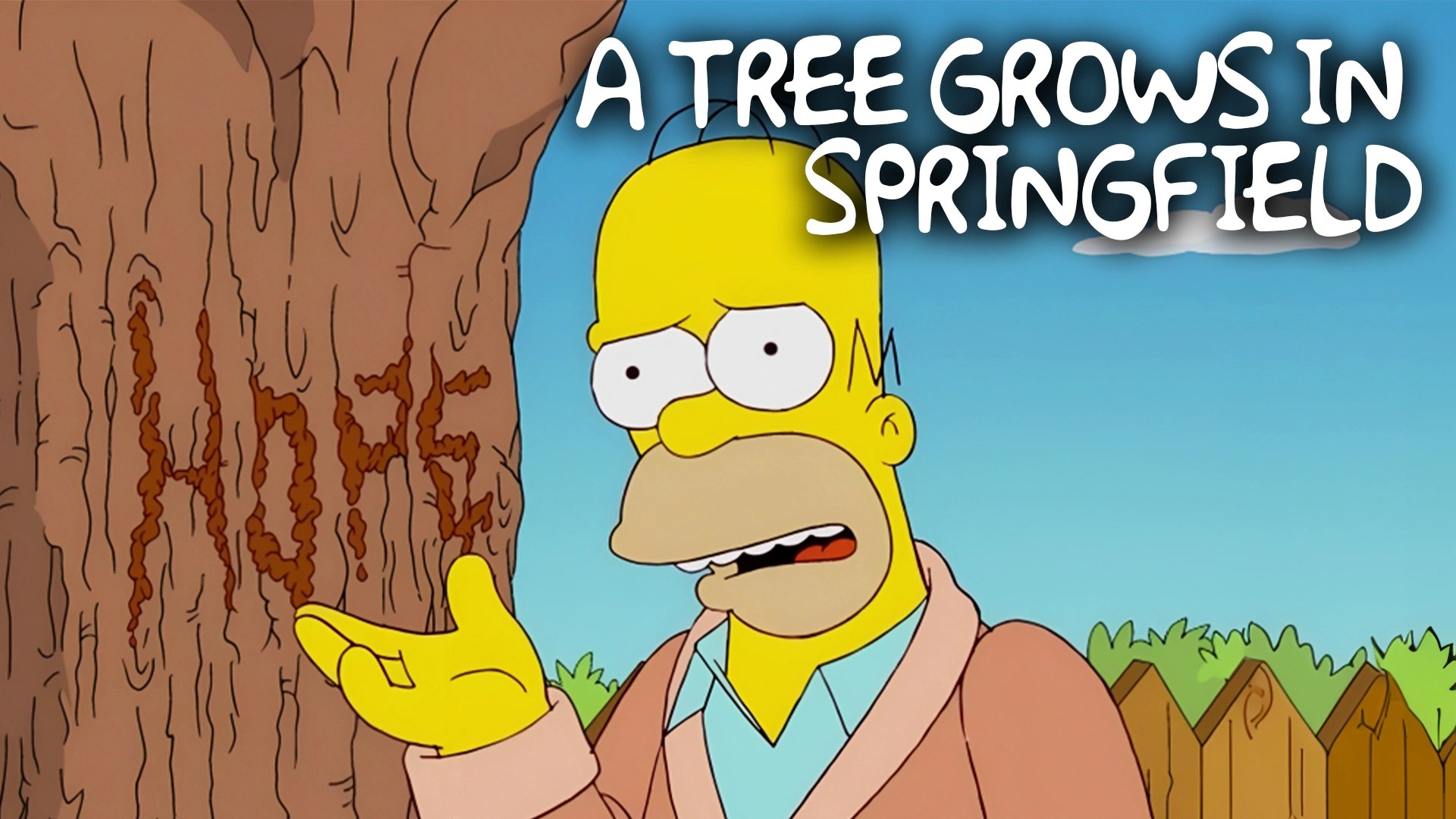 A Tree Grows In Springfield Video Resources Clickview
