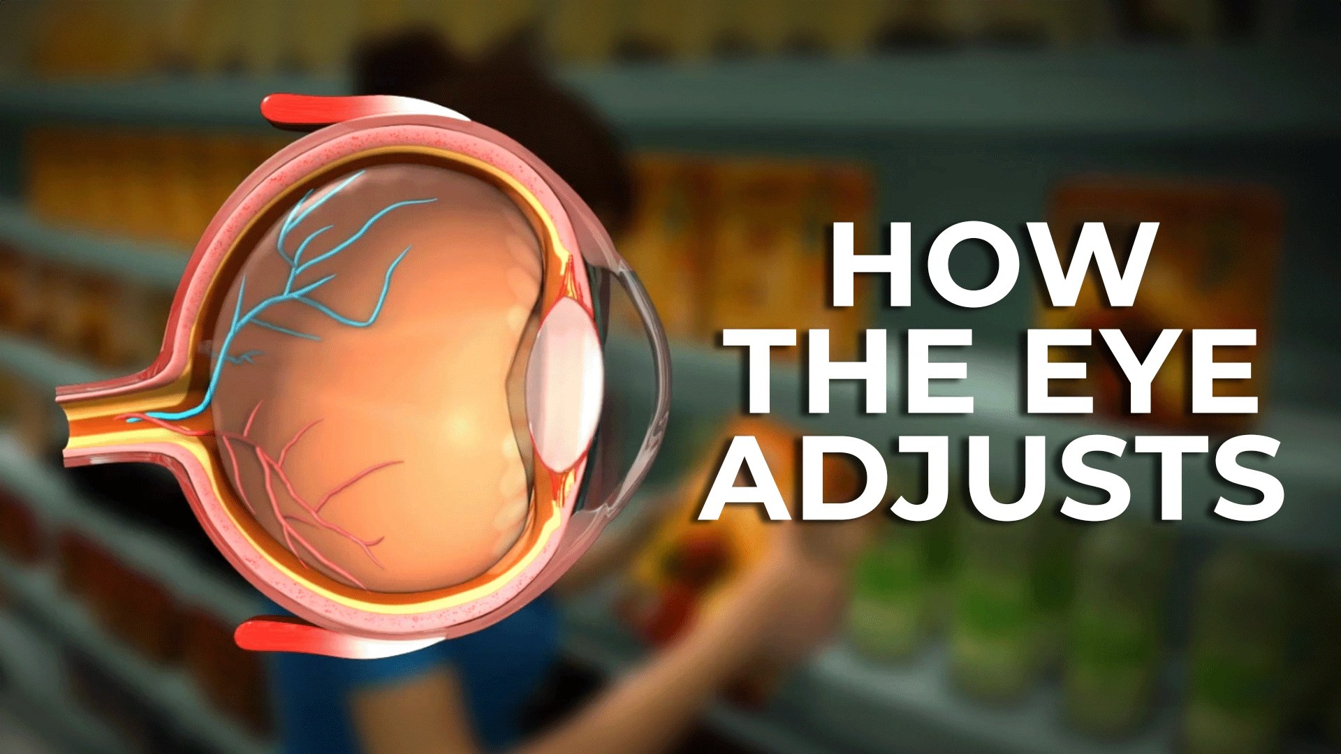 Power Of Accommodation Of The Human Eye Clickview