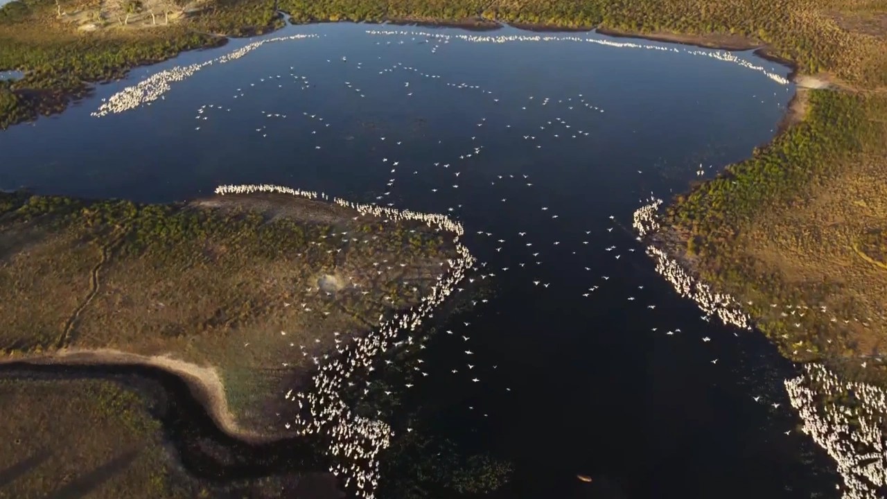 David Attenborough S Planet Earth Iii Clickview