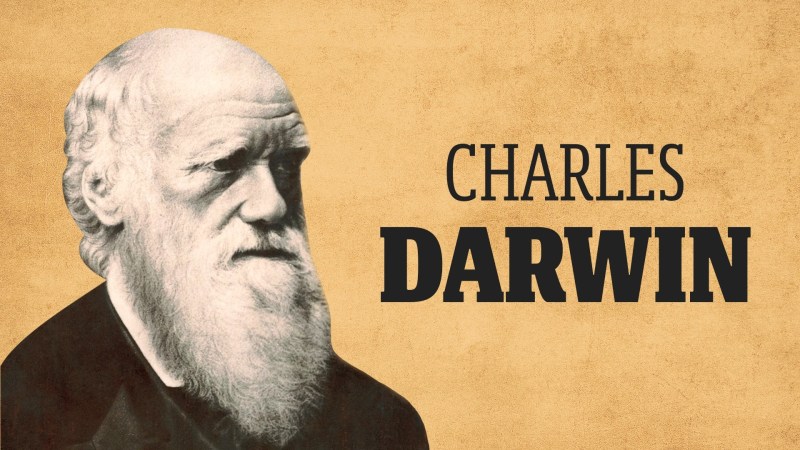 Charles Darwin Video Resources Clickview - Premium Nature Art Gallery - Ultra HD