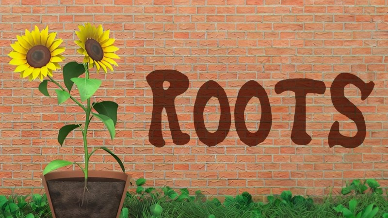 Getting Started R Plants - High Quality Landscape Image - Ultra HD