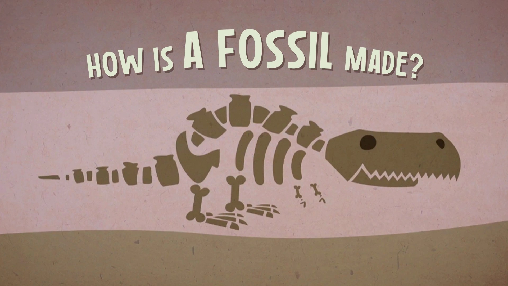How Is A Fossil Made Video Resources Clickview