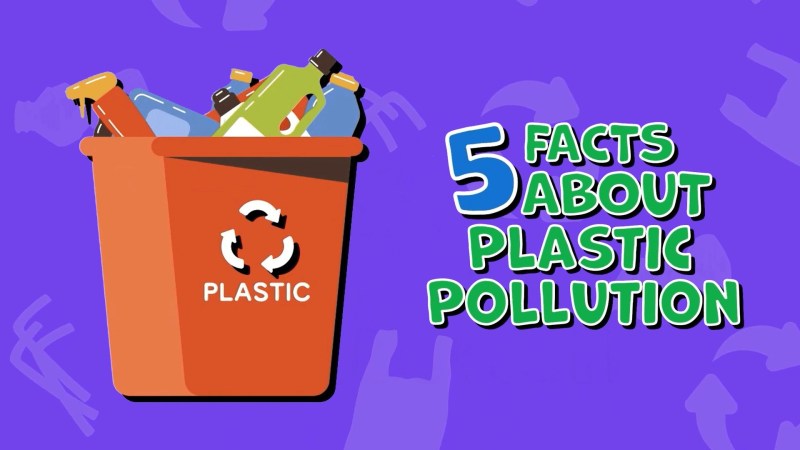 Plastic Pollution Flashacademy - Download Ultra HD Geometric Picture | Full HD