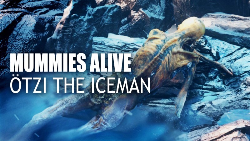 Pictures Link Video Otzi The Iceman - Download Premium Gradient Photo | Full HD
