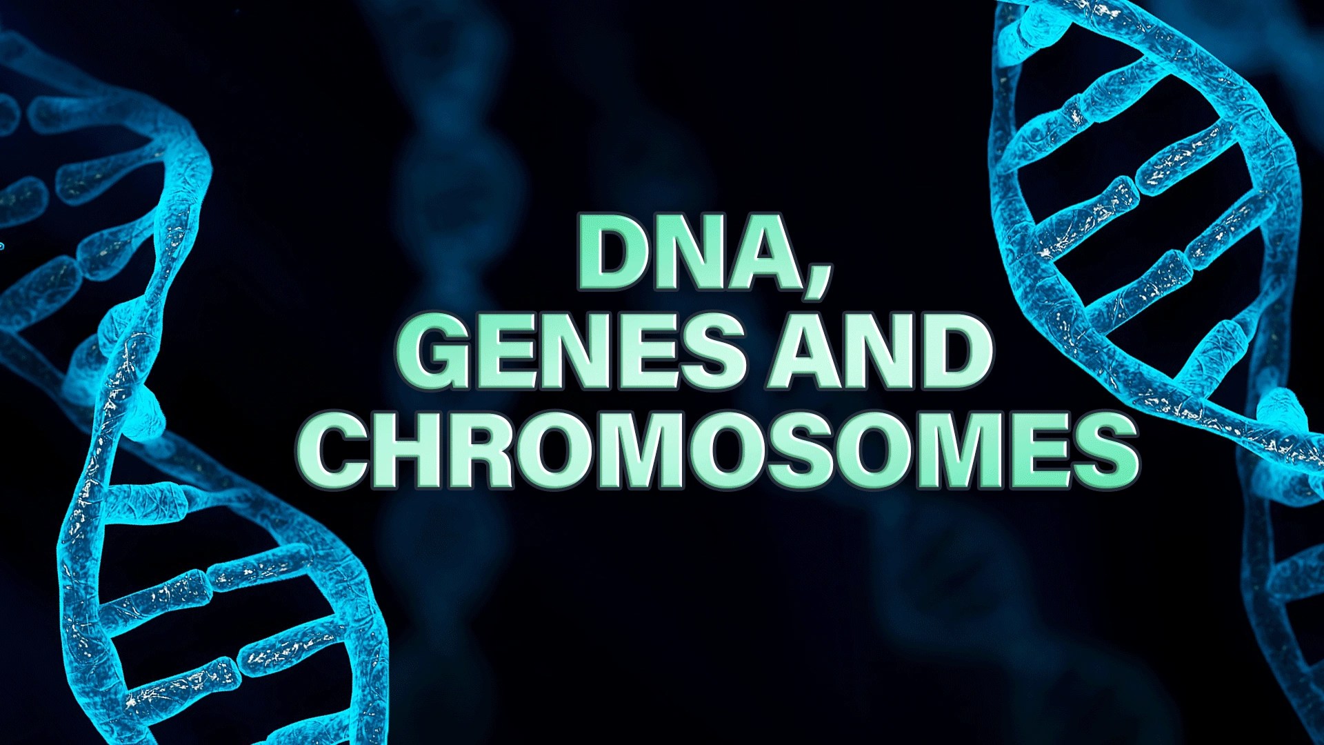 Dna And Inheritance Video Resources Clickview