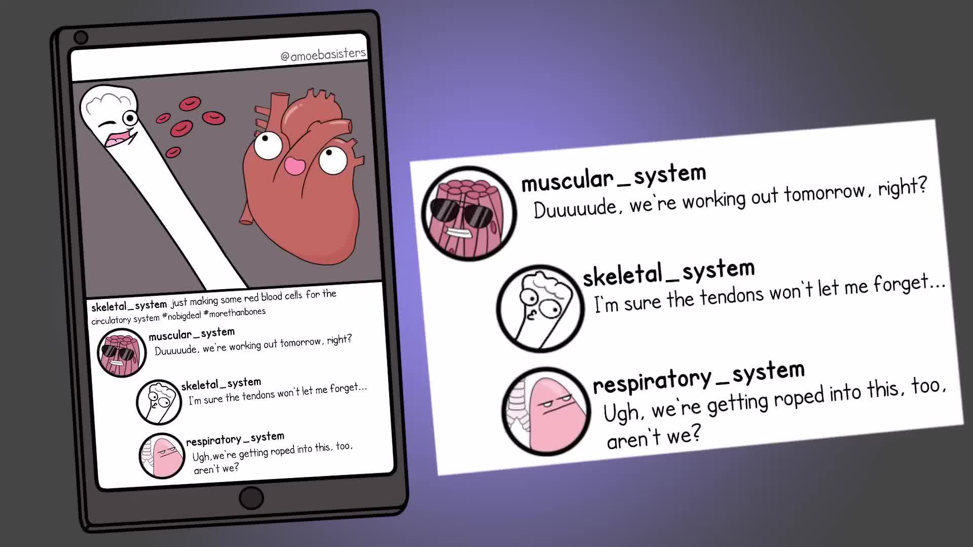 Human Body Systems Overview Video Resources Clickview