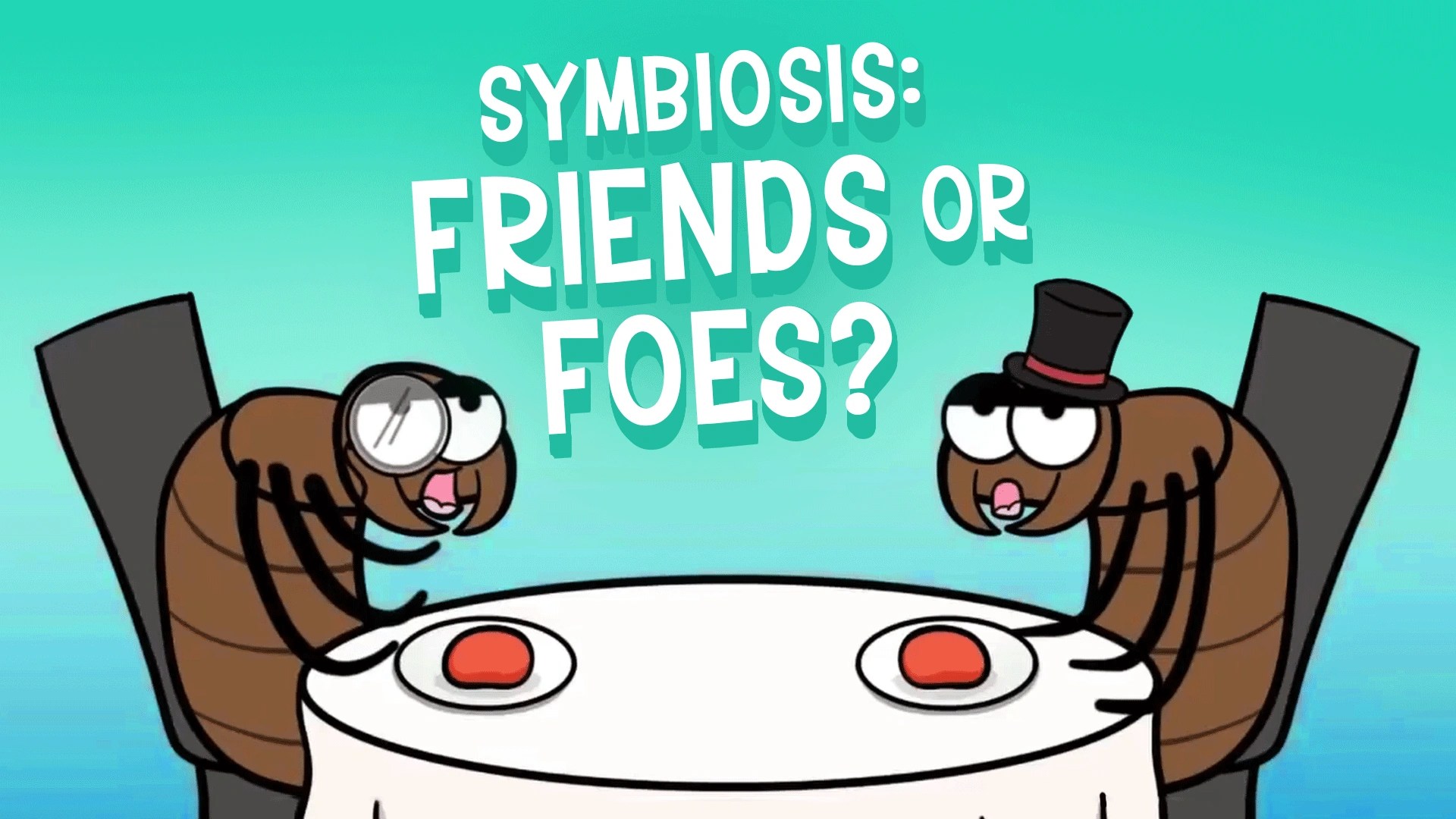 Ecological Relationships Video Resources Clickview