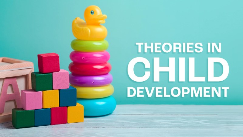 Learning About Child Development Theorists Dvd - Premium Dark Photo Gallery - Ultra HD